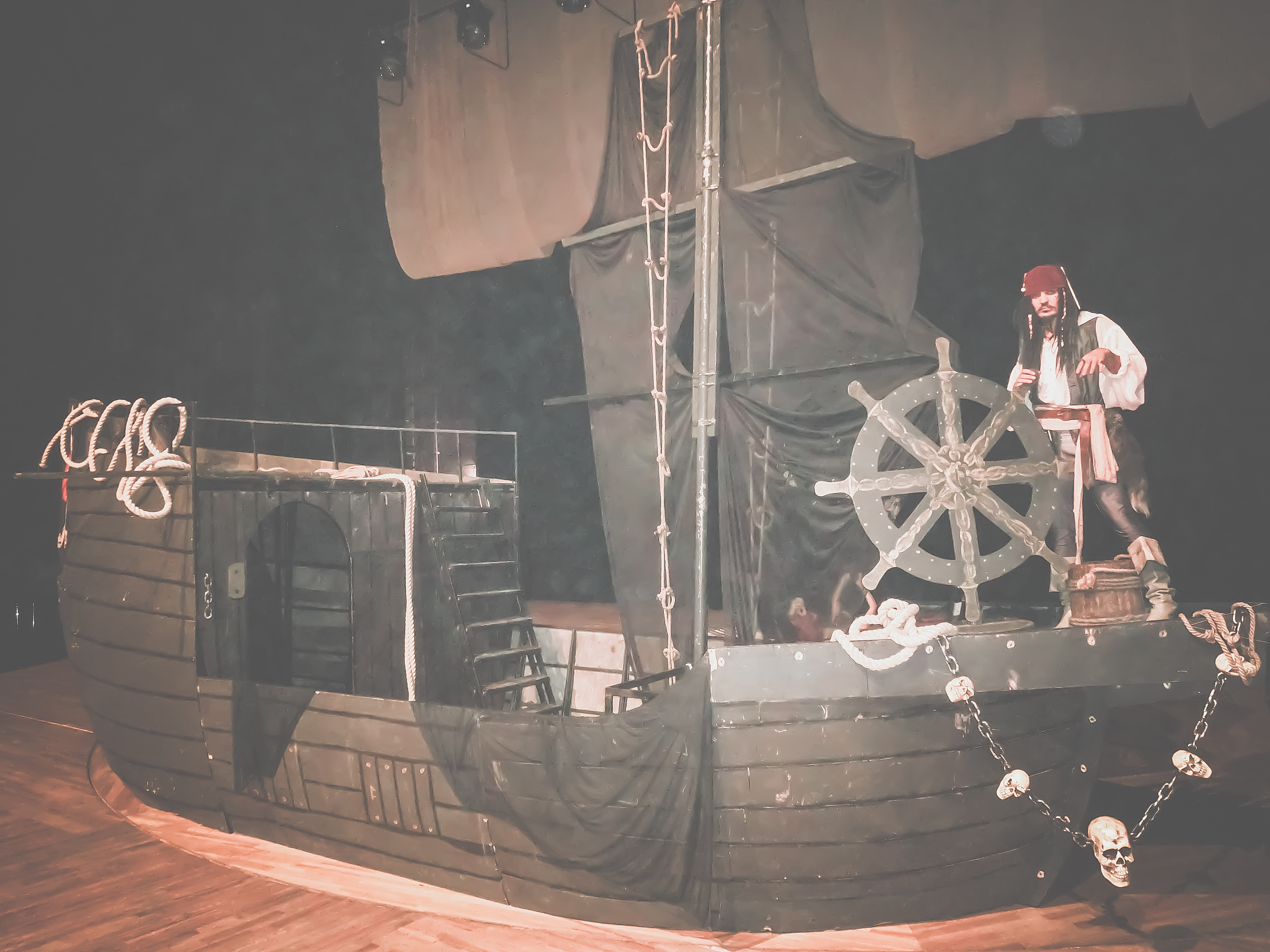 Пиратская вечеринка ,шоу