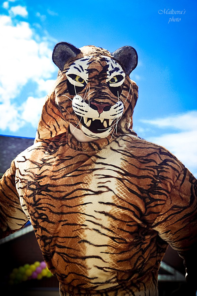 Тигрица (Кунг - фу Панда) 